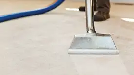 Carpet cleaning wand head gliding over a light carpet during hot-water extraction, Minneapolis, MN.