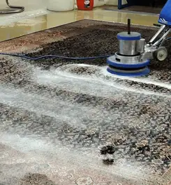 Professional rug cleaning with a rotary floor machine and shampoo foam, deep-cleaning an area rug Minneapolis, MN.